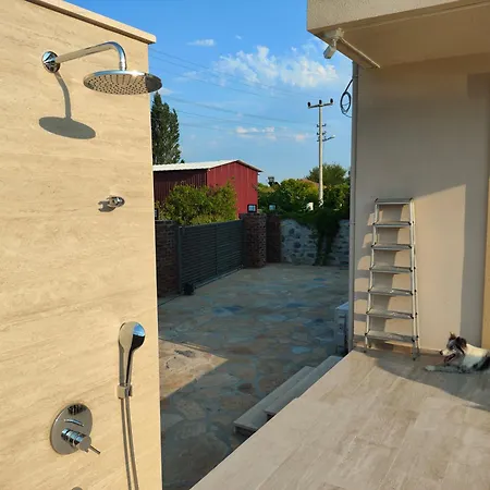 Pronaos Ortaca (Mugla)